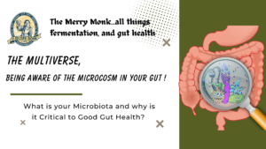 The Multiverse being aware of the microcosm in your gut