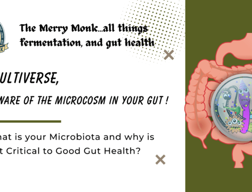 The Multiverse being aware of the microcosm in your gut